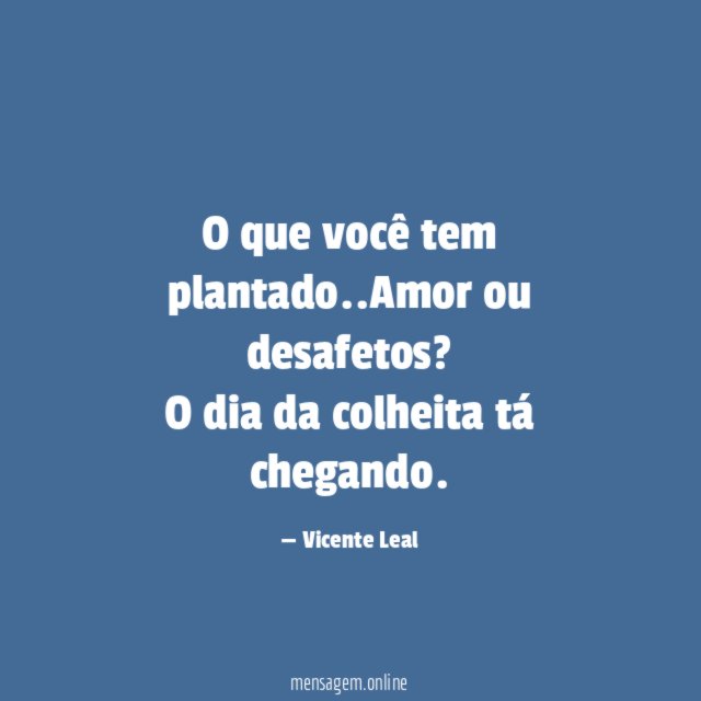 O que você tem plantado