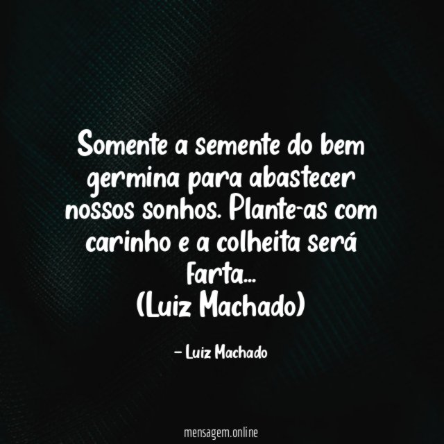 Somente a semente do bem germina para abastecer nossos sonhos