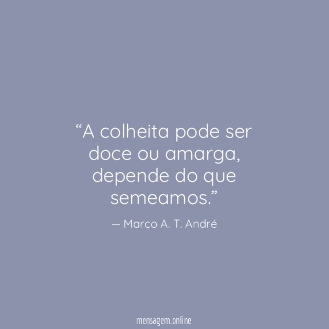 A colheita pode ser doce ou amarga