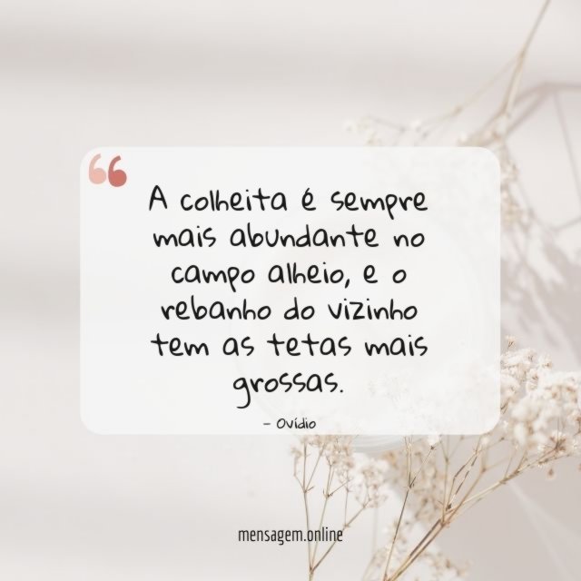 A colheita é sempre mais abundante no campo alheio