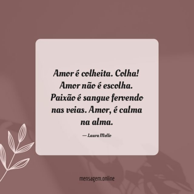 Amor é colheita
