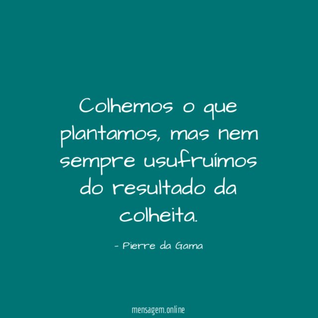 Colhemos o que plantamos
