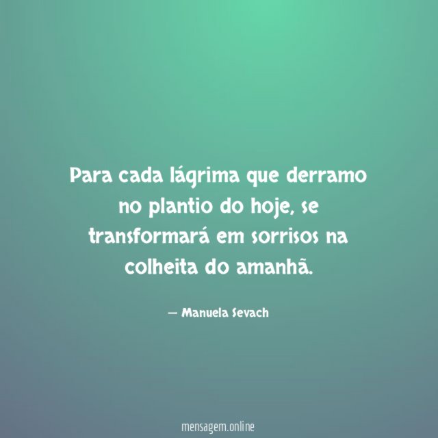 Para cada lágrima que derramo no plantio do hoje