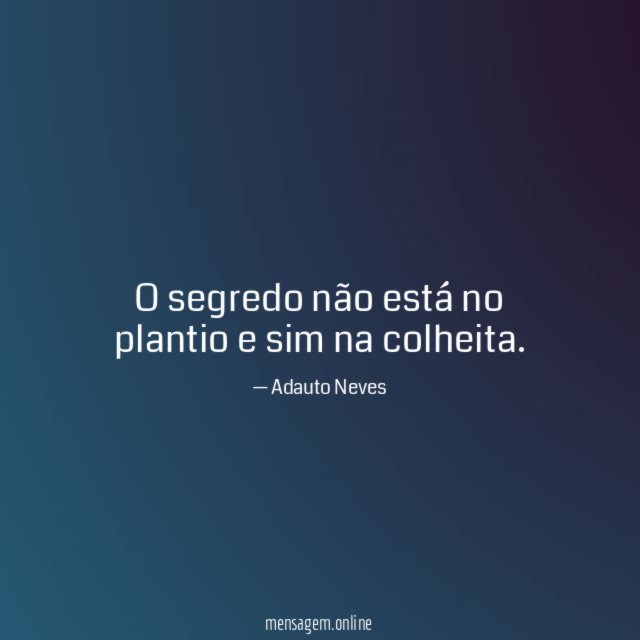 O segredo não está no plantio e sim na colheita