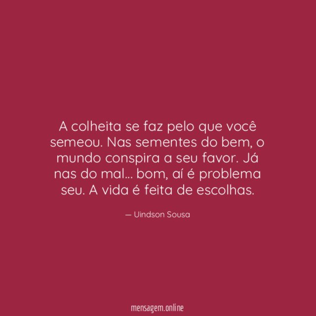 A colheita se faz pelo que você semeou