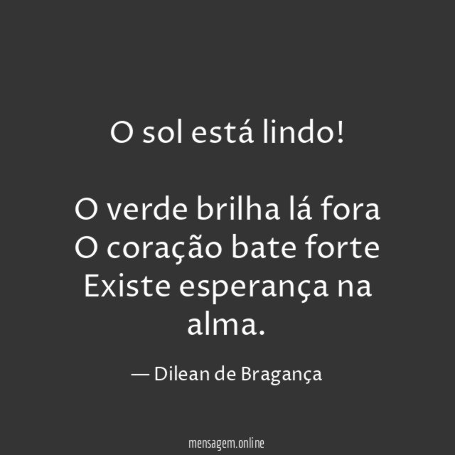 O sol está lindo