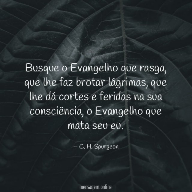 Busque o Evangelho que rasga