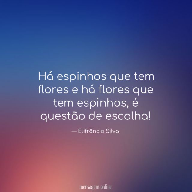 Há espinhos que tem flores e há flores que tem espinhos
