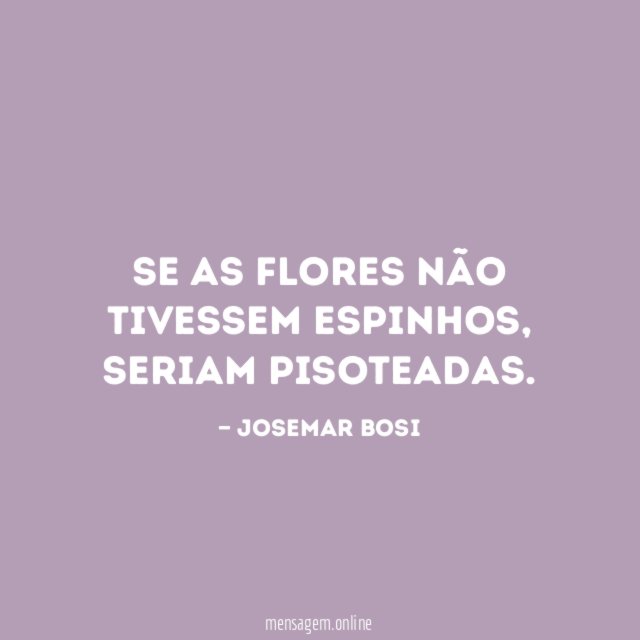 Se as flores não tivessem espinhos