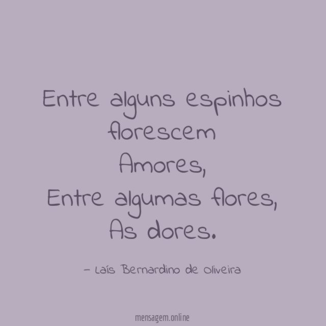 Entre alguns espinhos florescem Amores