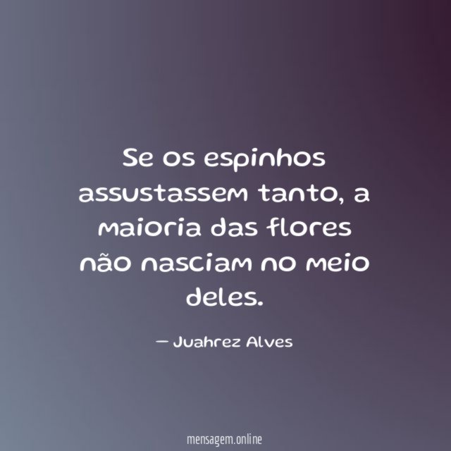 Se os espinhos assustassem tanto