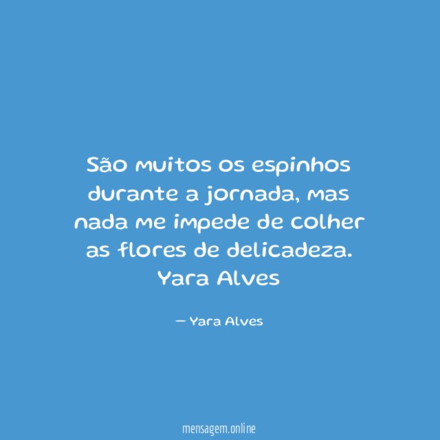 São muitos os espinhos durante a jornada, mas nada me impede de colher as flores de delicadeza.