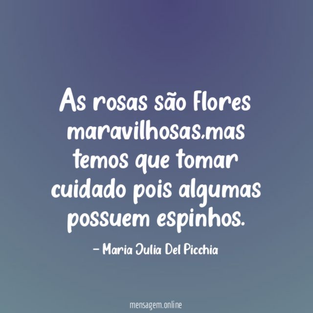 As rosas são flores maravilhosas