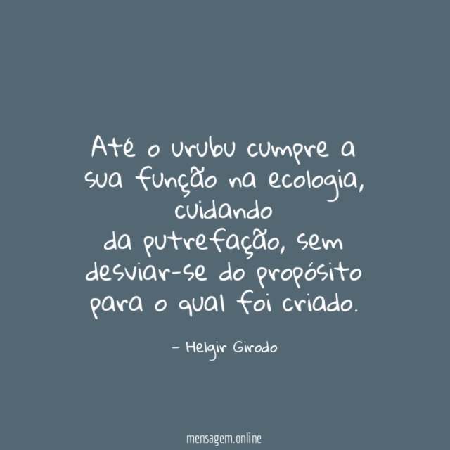 Até o urubu cumpre a sua função na ecologia
