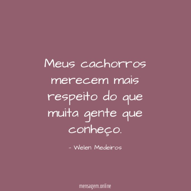 Meus cachorros merecem mais respeito do que muita gente que conheço