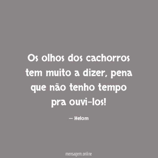 Os olhos dos cachorros tem muito a dizer