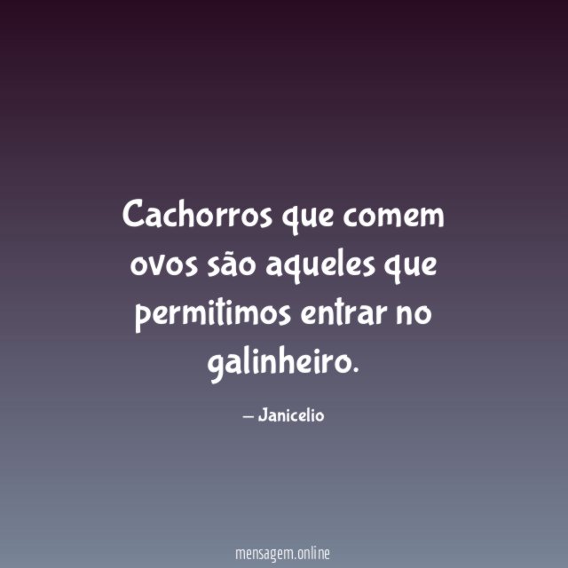Cachorros que comem ovos são aqueles que permitimos entrar no galinheiro