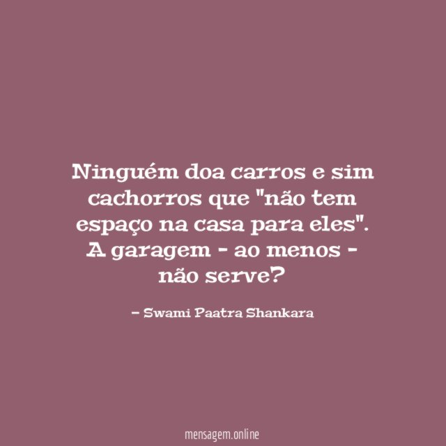 Ninguém doa carros e sim cachorros que "não