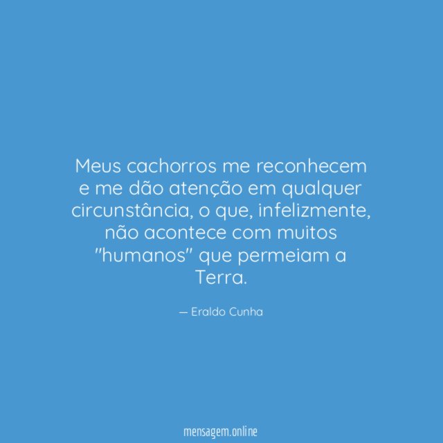 Meus cachorros me reconhecem e me dão atenção