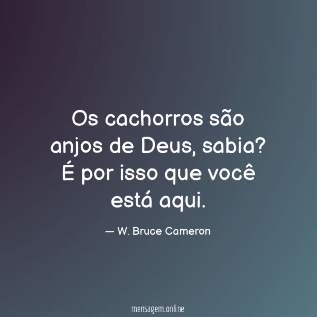 Os cachorros são anjos de Deus