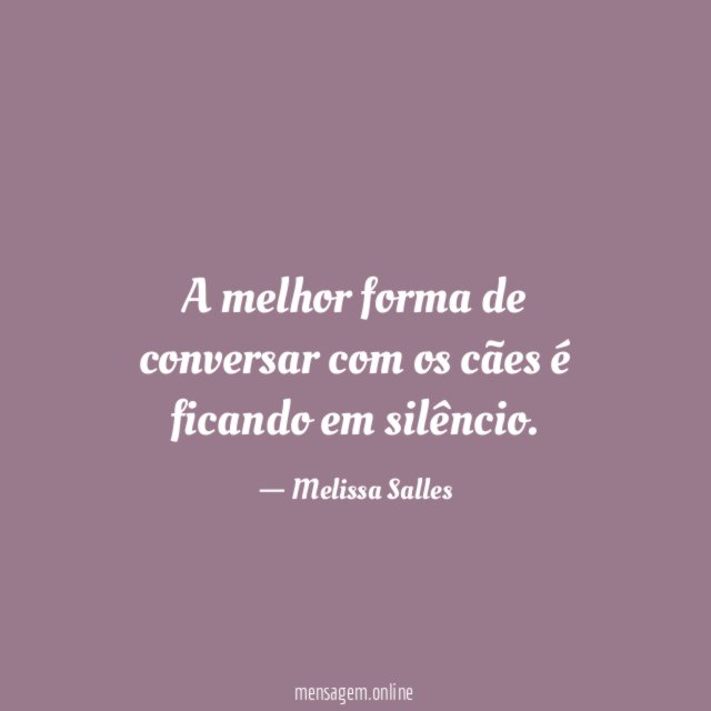 A melhor forma de conversar com os cães