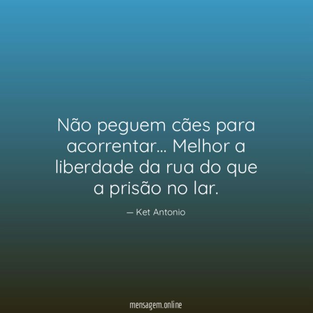 Não peguem cães para acorrentar