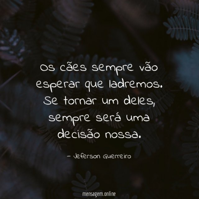 Os cães sempre vão esperar que ladremos
