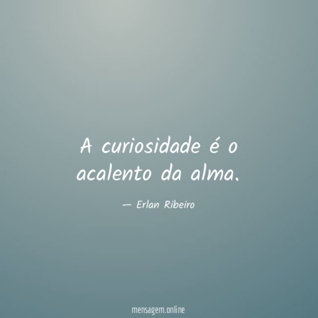 A curiosidade é o acalento da alma