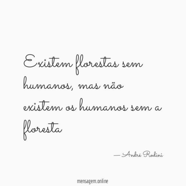 Existem florestas sem humanos