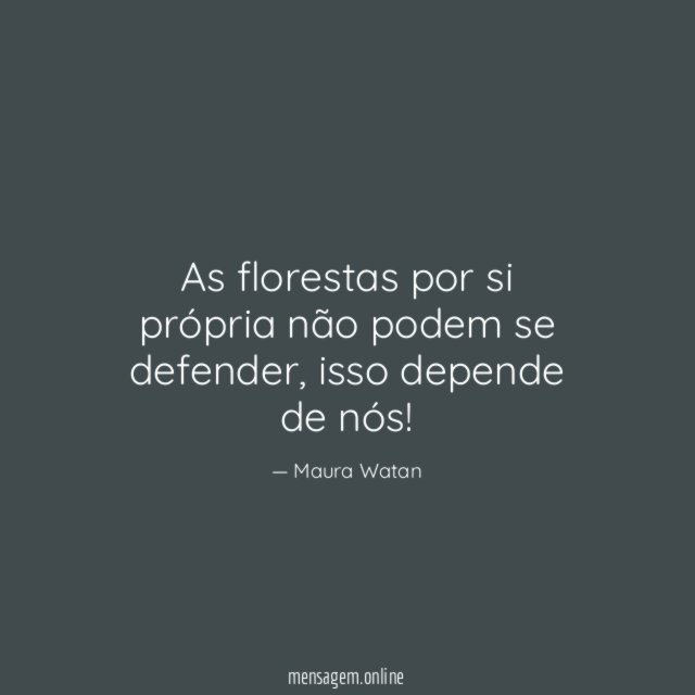 As florestas por si própria não podem se defender