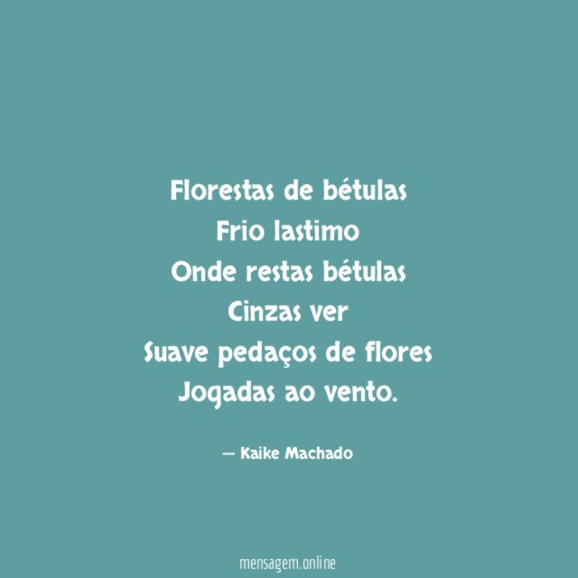 Florestas de bétulas