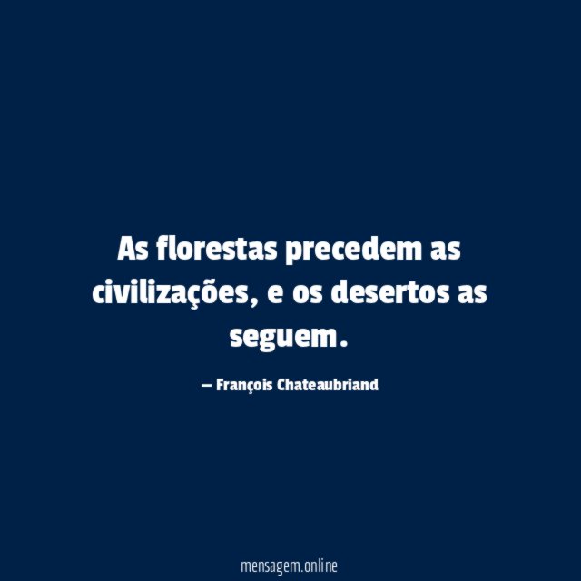 As florestas precedem as civilizações