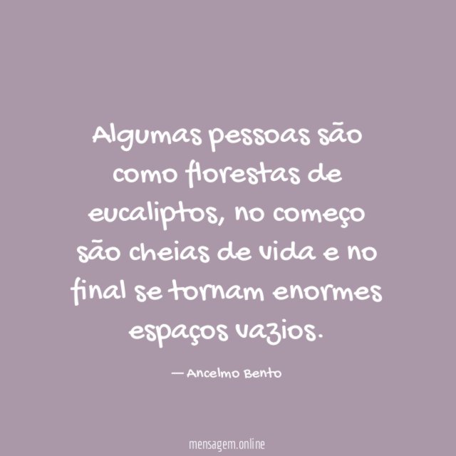 Algumas pessoas são como florestas de eucaliptos