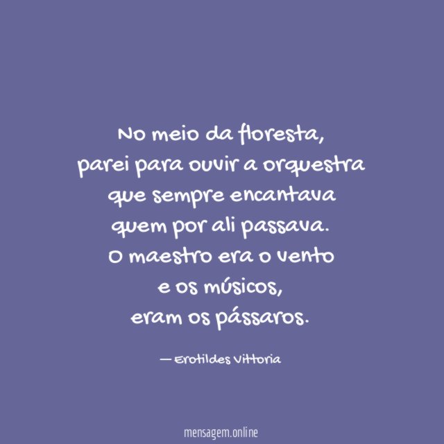 No meio da floresta