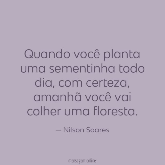 Quando você planta uma sementinha todo dia
