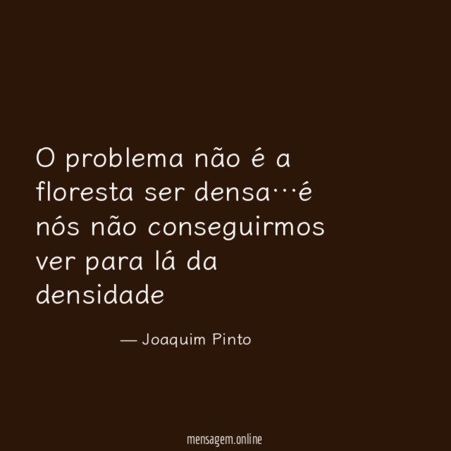 O problema não é a floresta ser densa