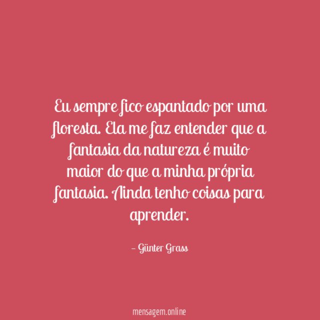 Eu sempre fico espantado por uma floresta