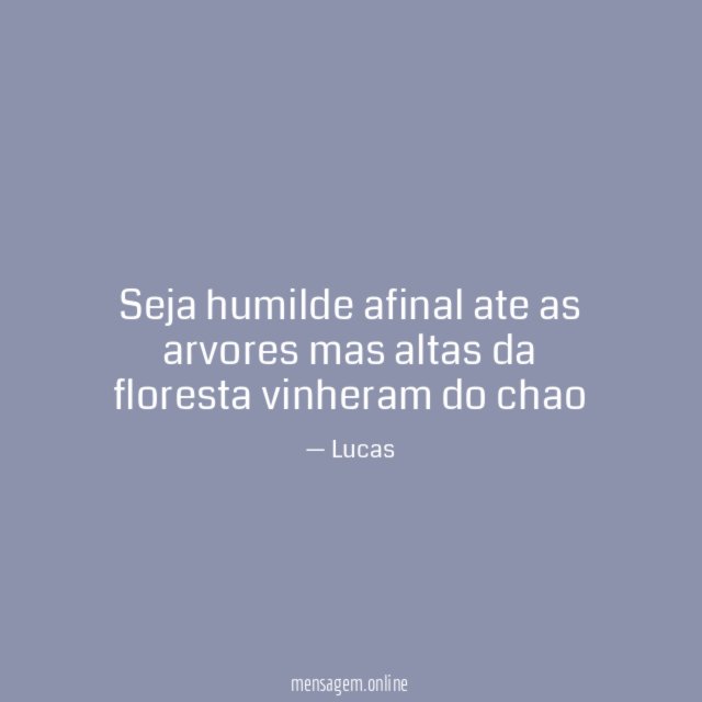 Seja humilde afinal ate as arvores mas altas