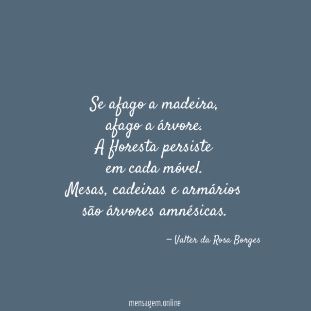 Se afago a madeira,
afago a árvore.