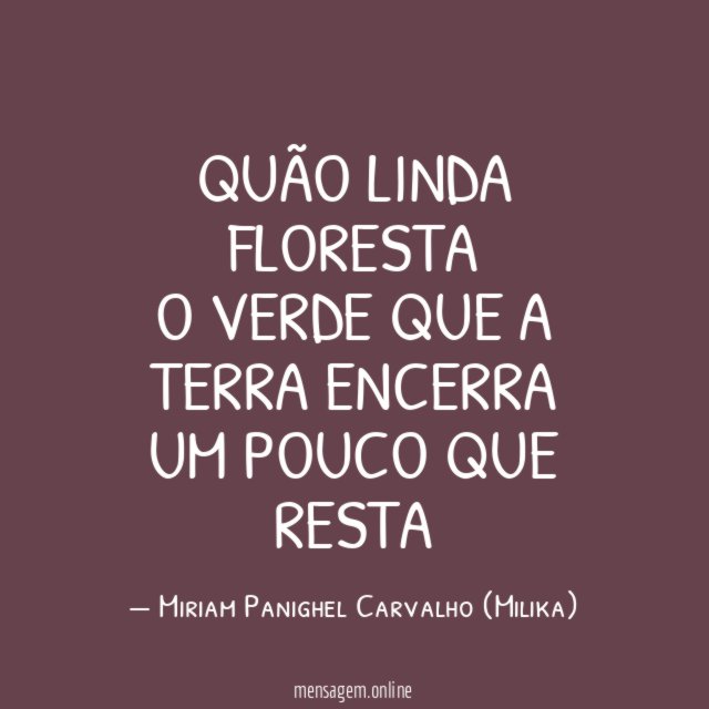 QUÃO LINDA FLORESTA O VERDE QUE A TERRA ENCERRA UM