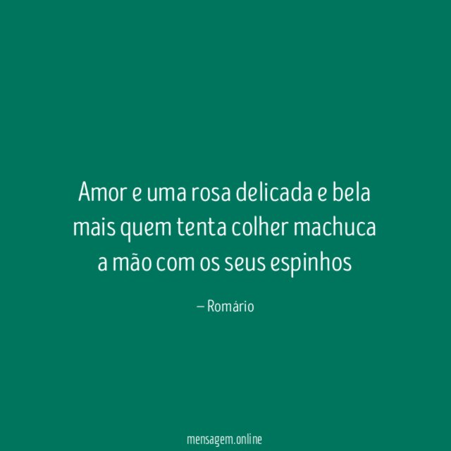 Amor e uma rosa delicada e bela mais