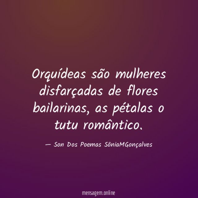 Orquídeas são mulheres disfarçadas de flores bailarinas