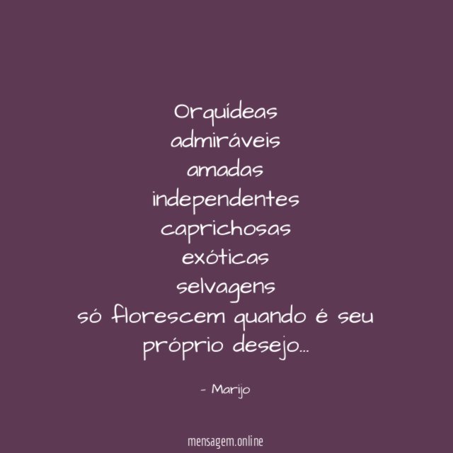 Orquídeas admiráveis amadas independentes caprichosas exóticas selvagens só florescem quando é seu p