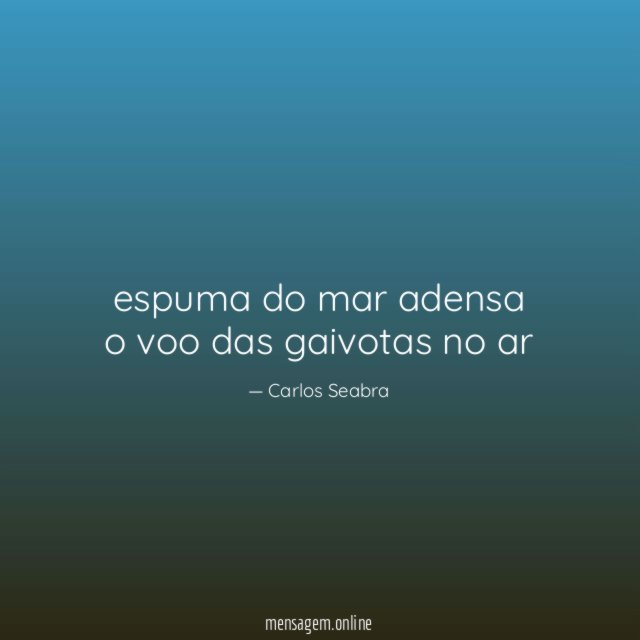 espuma do mar adensa o voo das gaivotas no ar