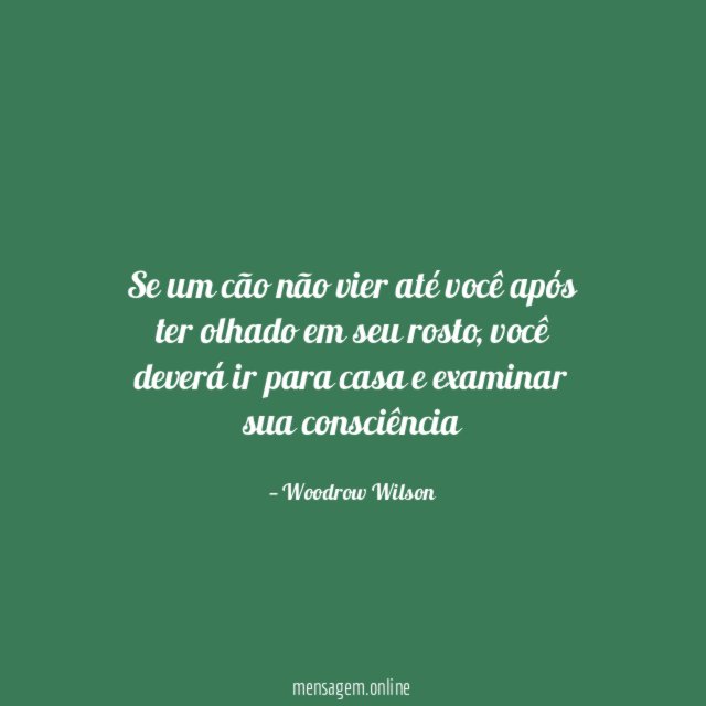 Se um cão não vier até você após