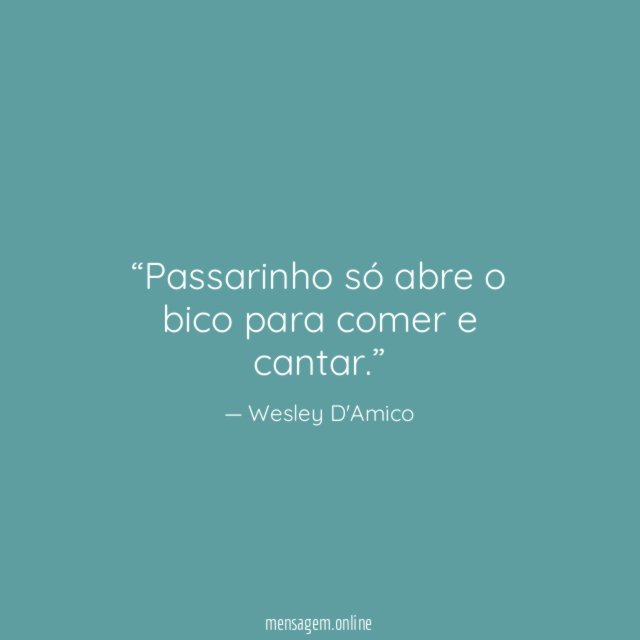 Passarinho só abre o bico para comer e cantar
