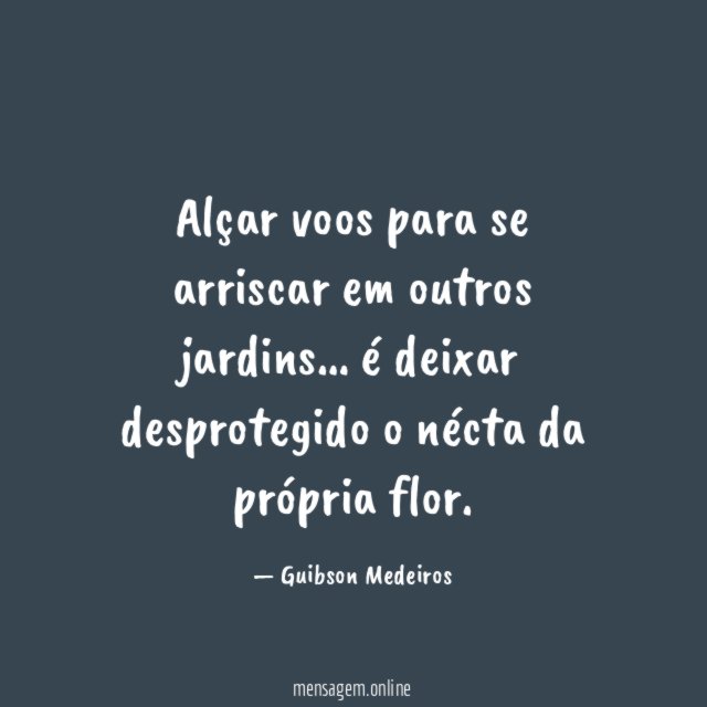 Alçar voos para se arriscar em outros jardins
