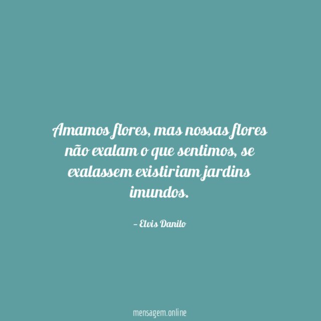 Amamos flores