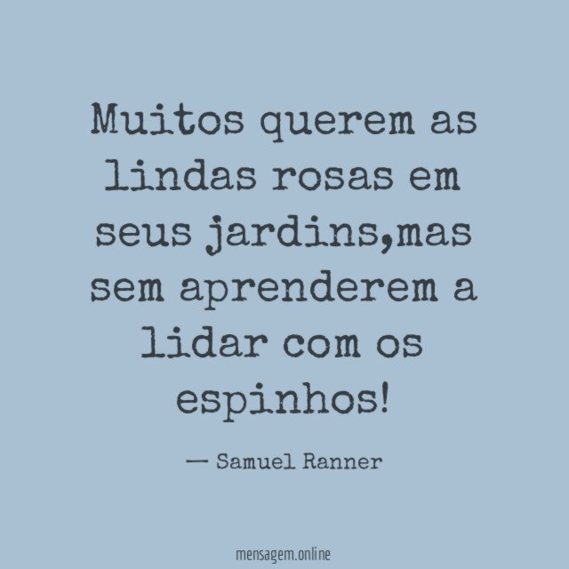 Muitos querem as lindas rosas em seus jardins