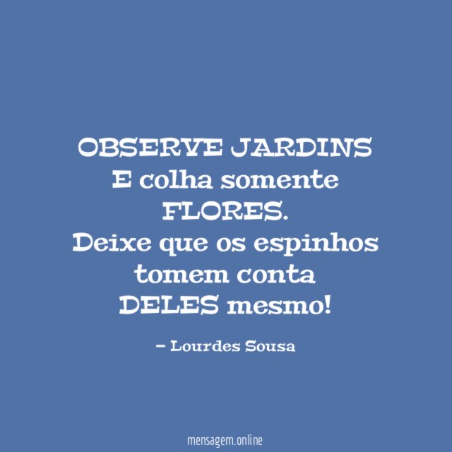 OBSERVE JARDINS
E colha somente FLORES.